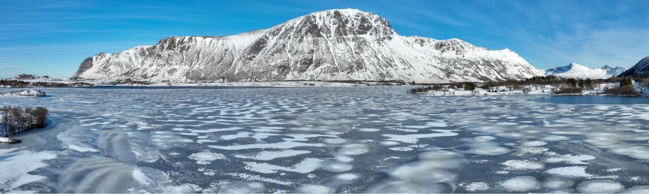 Wildlife Panorama Lofoten Bostad Exterior foto